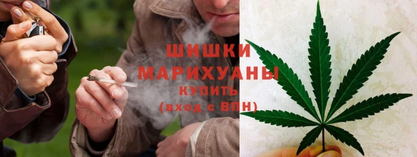 ГАЛЛЮЦИНОГЕННЫЕ ГРИБЫ Аркадак