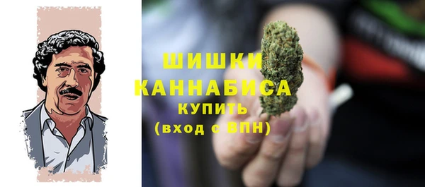 амф Новодвинск