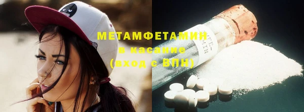 ГАЛЛЮЦИНОГЕННЫЕ ГРИБЫ Аркадак