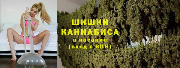 ГАЛЛЮЦИНОГЕННЫЕ ГРИБЫ Аркадак